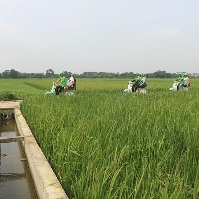 Ninh Binh Vespa Start from Hanoi + Boat + Villages +Rice Paddies