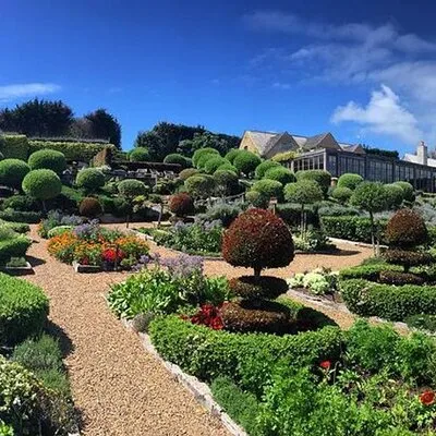 2.5 Hours Wine Tour in Waiheke Island for Cruise Ship Travelers