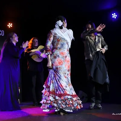 Tablao Flamenco Alma - Live Flamenco Show