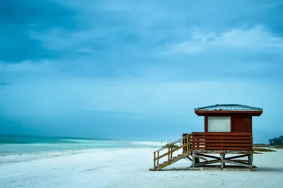 Anna Maria Island Dolphin Sightseeing 2-Hour Wildlife Tour in Sarasota