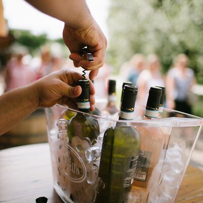 Valeggio: Sorsi d’Estate, 3 young wines with guided tour