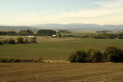 Willamette Valley Wine Tour with Lunch from Portland