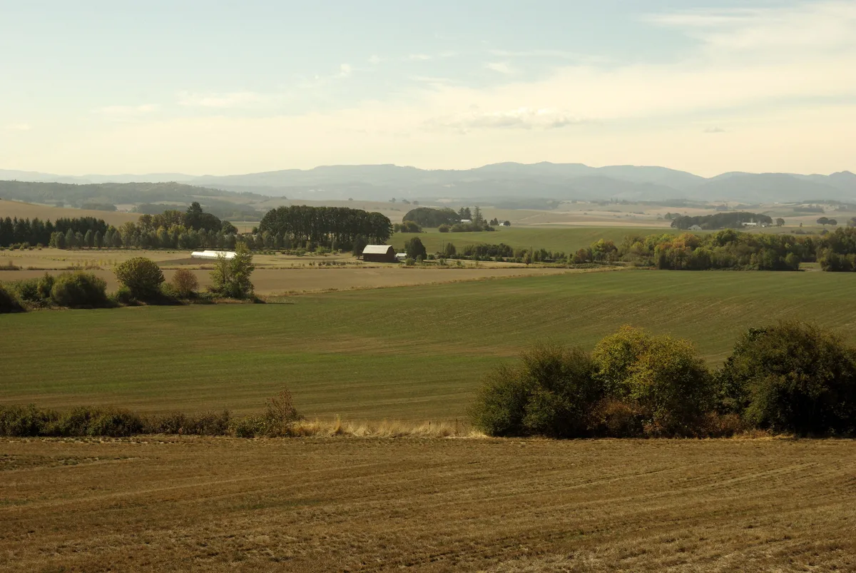 Willamette Valley Wine Tour with Lunch from Portland