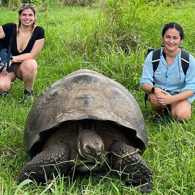 Giant Turtle Watching and Lava Tunnels Tour