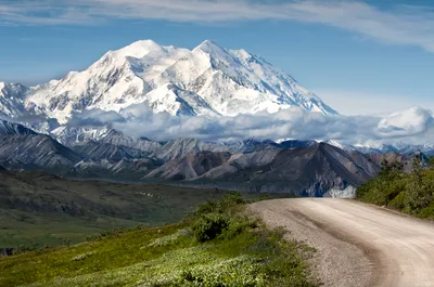 Denali National Park ATV Trailblazer 3.5 Hour Tour