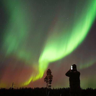 Ivalo Experiences