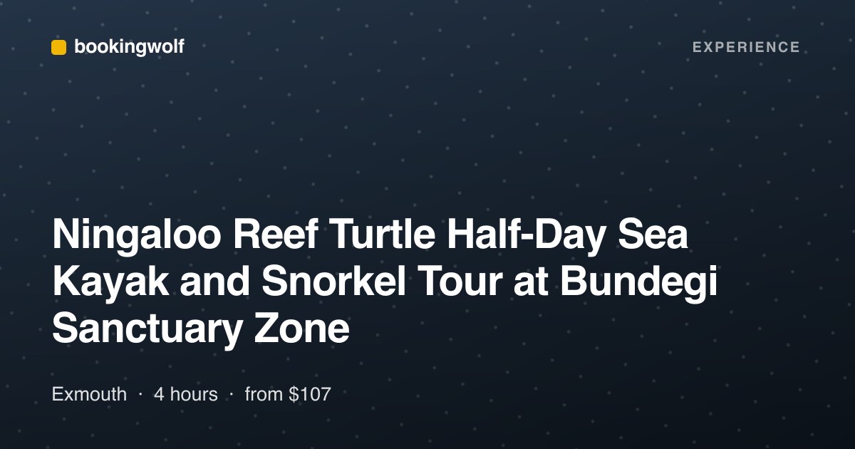 Ningaloo Reef Turtle Half-Day Sea Kayak and Snorkel Tour at Bundegi Sanctuary Zone