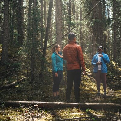 Private Forest Bathing Experience Connect with Nature