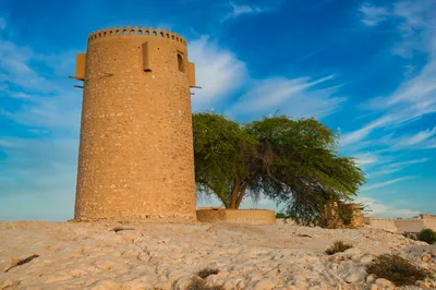 North and West Qatar Full-Day Tour Including Al Khor, Al Zubarah Fort and Zekreet Fort