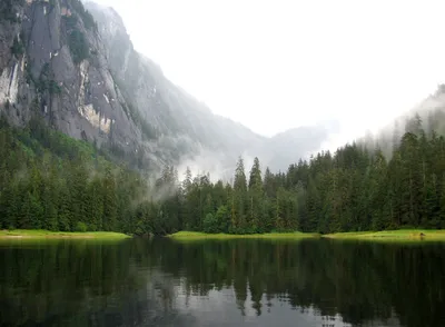 Misty Fjords Seaplane Tour from Ketchikan with Lake or Fjord Landing