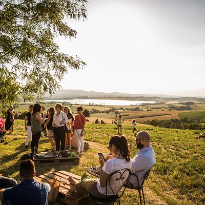 Wine Tasting & Tour Premium