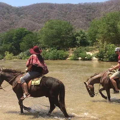 Horses on The Beach or Hot Springs