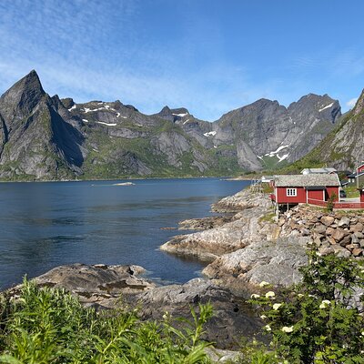 Guide in Lofoten