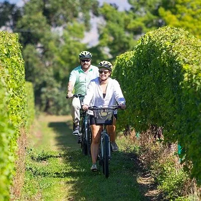 Wine Tours By Bike