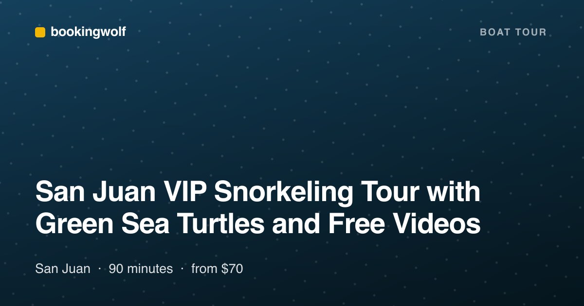 San Juan VIP Snorkeling Tour with Green Sea Turtles and Free Videos