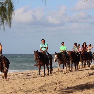 Tropical Trail Rides - Isabela