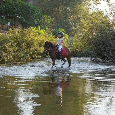 Namkhan Horses Stables