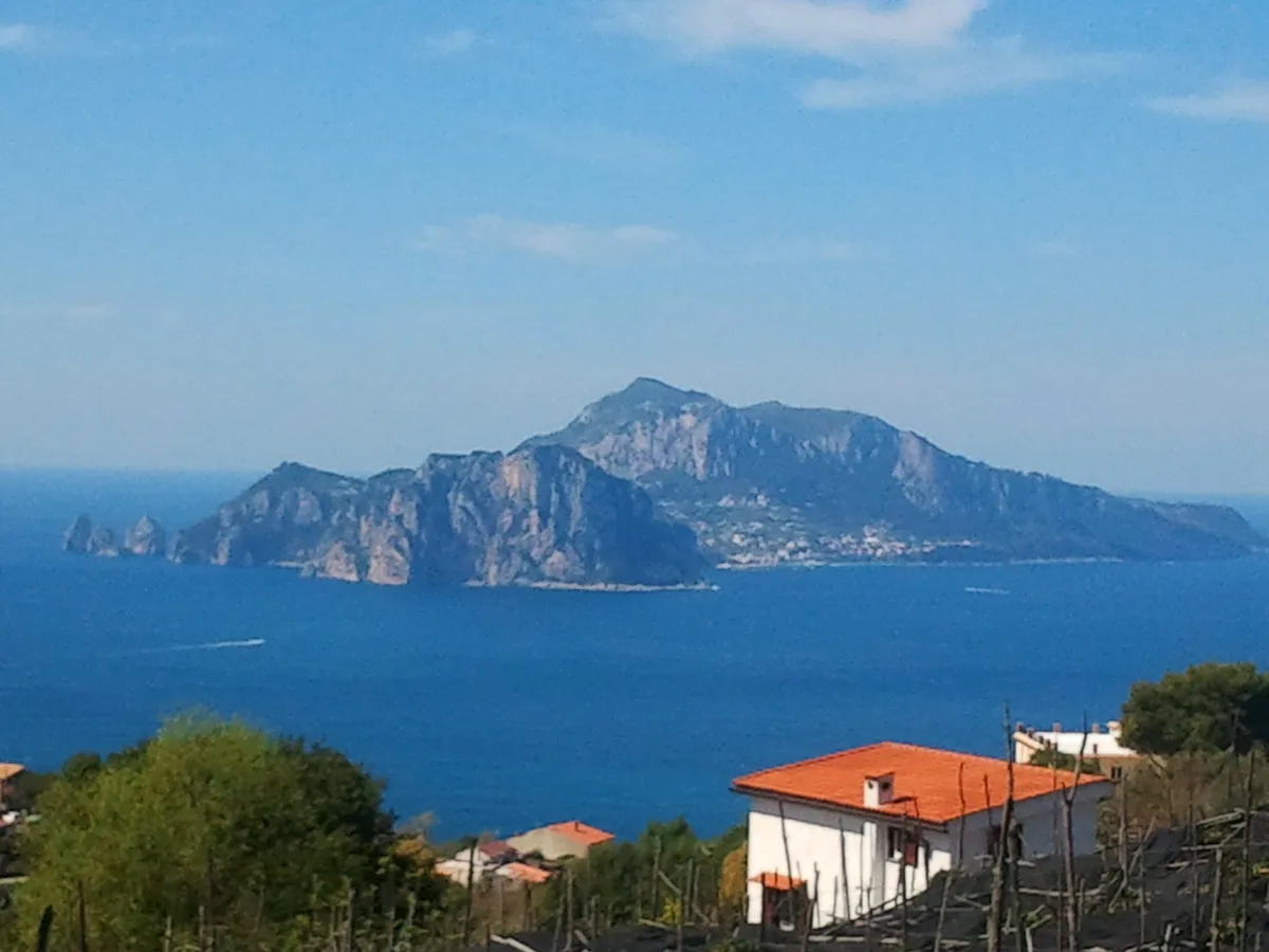 Capri Island Small Group Boat Ride with Swimming and Limoncello
