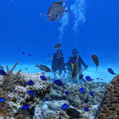 Escuela de Buceo Sea Pride