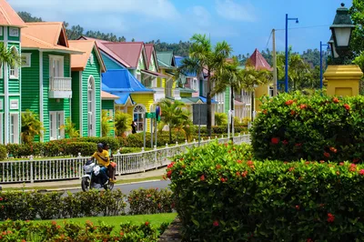Zipline Adventure in El Limón with Views of Cayo Levantado Isle and Haitises National Park