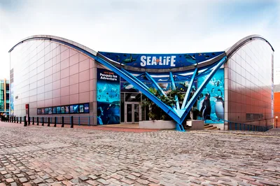 SEA LIFE Birmingham Admission Ticket with 360° Ocean Tunnel and Sea Otters