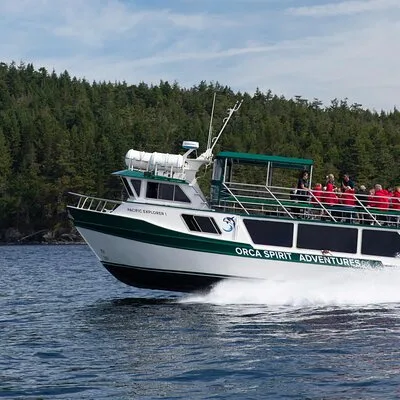 Winter Victoria Whale and Wildlife Covered Vessel Tour