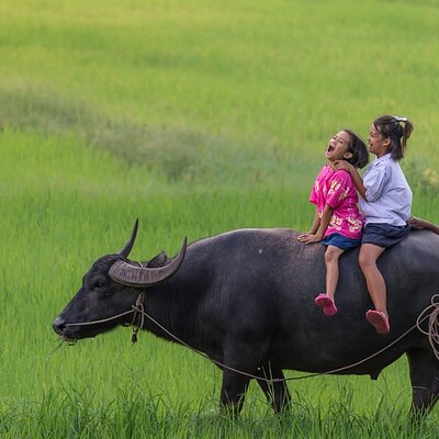 Mamag Travel and Tours