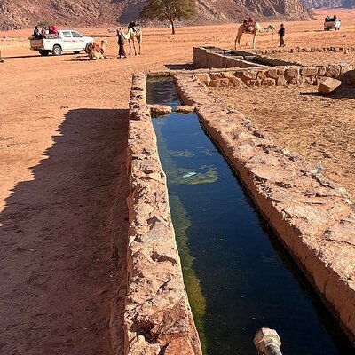 2 Hour Jeep Tour (Morning or Sunset) Wadi Rum Desert Highlights