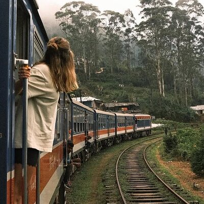 Ella to Ambewela Scenic Train Journey with Reserved Seats Ticket