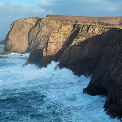 Erris Head Guided Walking Tour (AlchemyTours. ie)