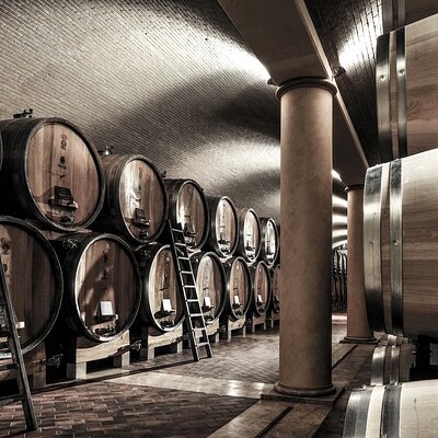 Verona area: Wine Tasting Experience in Valpolicella