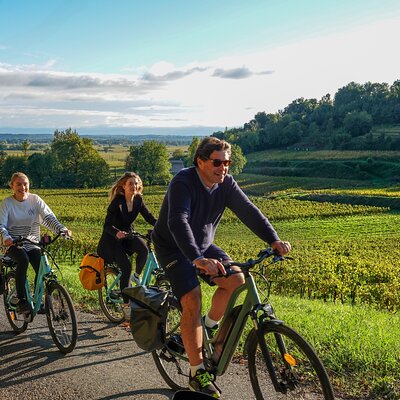 BordeauxWinePilgrim