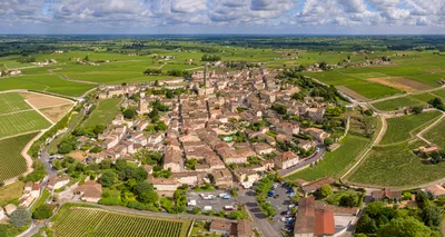 Saint-Émilion Wine Tour by Premium Electric Bike with Lunch Included