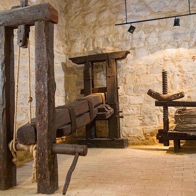 Guided tour of the Museum of Olive Culture Oil Tasting