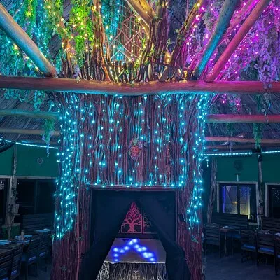 The Mayan Experience
