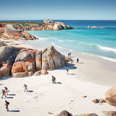 Park Trek Walking Holidays