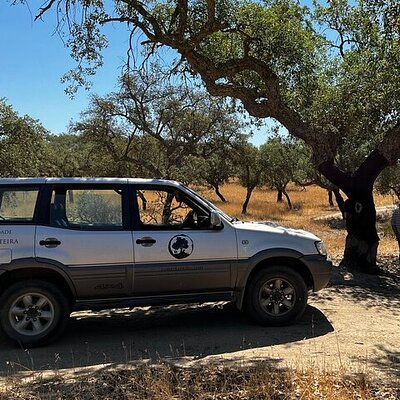 2hr Cork Tour in a Jeep