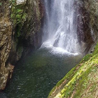 2 Hours Trekking Waterfall Tour in Tobago