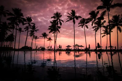 8 Days Tour in Sri Lanka with Private Driver and Accommodations