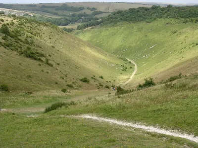 Seven Sisters Cliffs and South Downs National Park Day Tour from Brighton