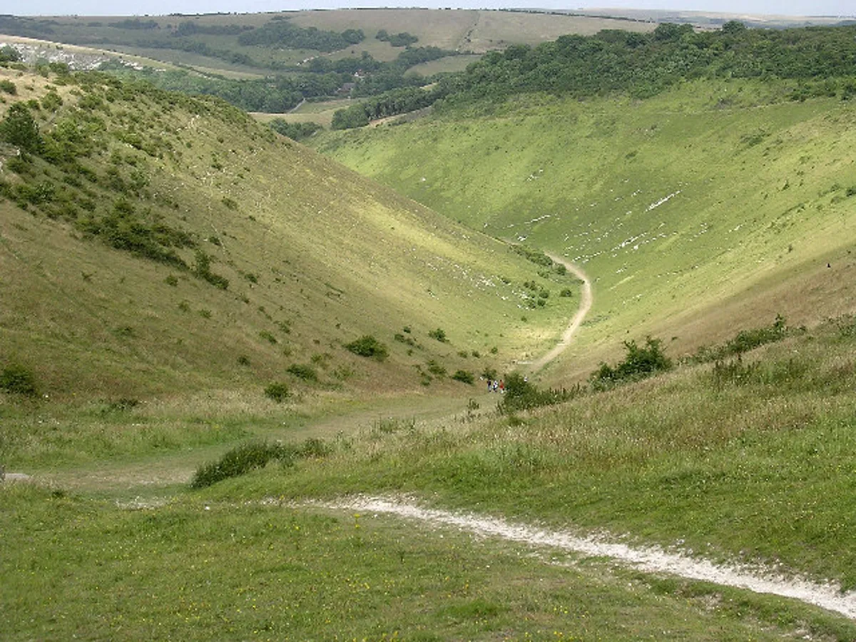 Seven Sisters Cliffs and South Downs National Park Day Tour from Brighton