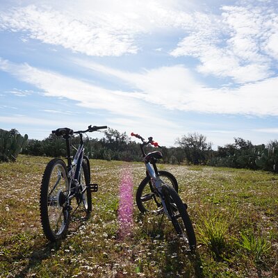 Cork & Prickly Pear Tour - Private Tour to the Heritage of Pepe Aromas