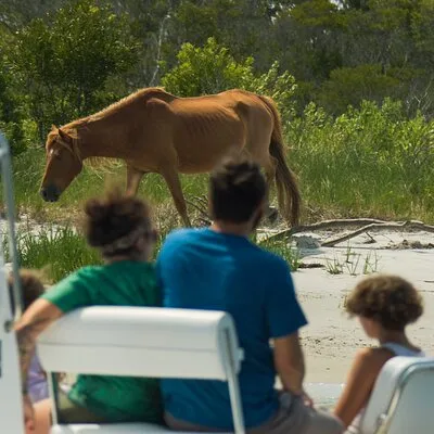 1-Hour Private Party Assateague Island Pony Cruise in Ocean City