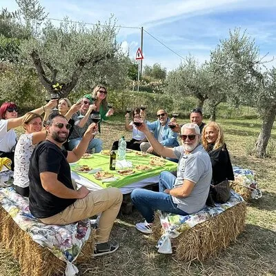 Umbria: Guided tour to Traditional Olive Oil Mill and Tasting