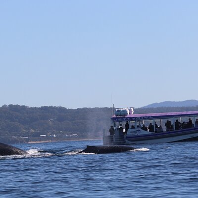 Jetty Dive Centre
