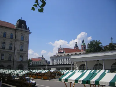 Ljubljana Food and Wine Walking Tour with Local Tastings and Lunch in Slovenia