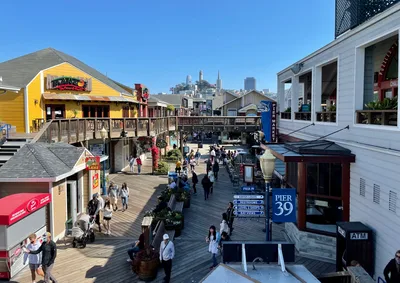 San Francisco Bay 1.5-Hour Catamaran Sailing Cruise from Pier 39