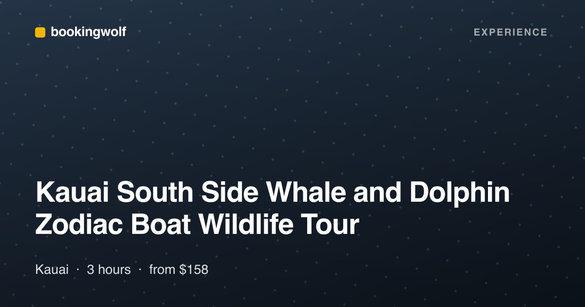 Kauai South Side Whale and Dolphin Zodiac Boat Wildlife Tour