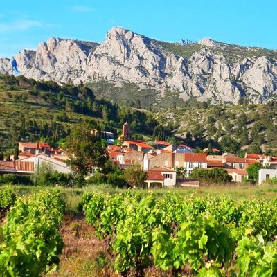 domaine vents du sud
