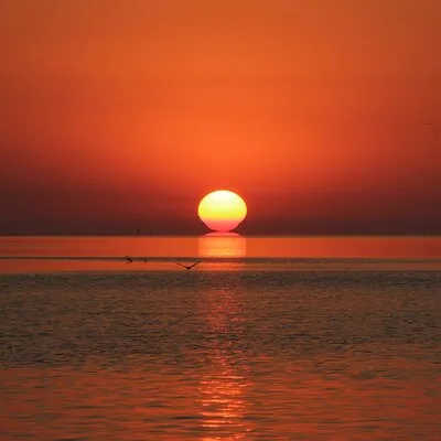 2 Hour Sunset Eco-Cruise